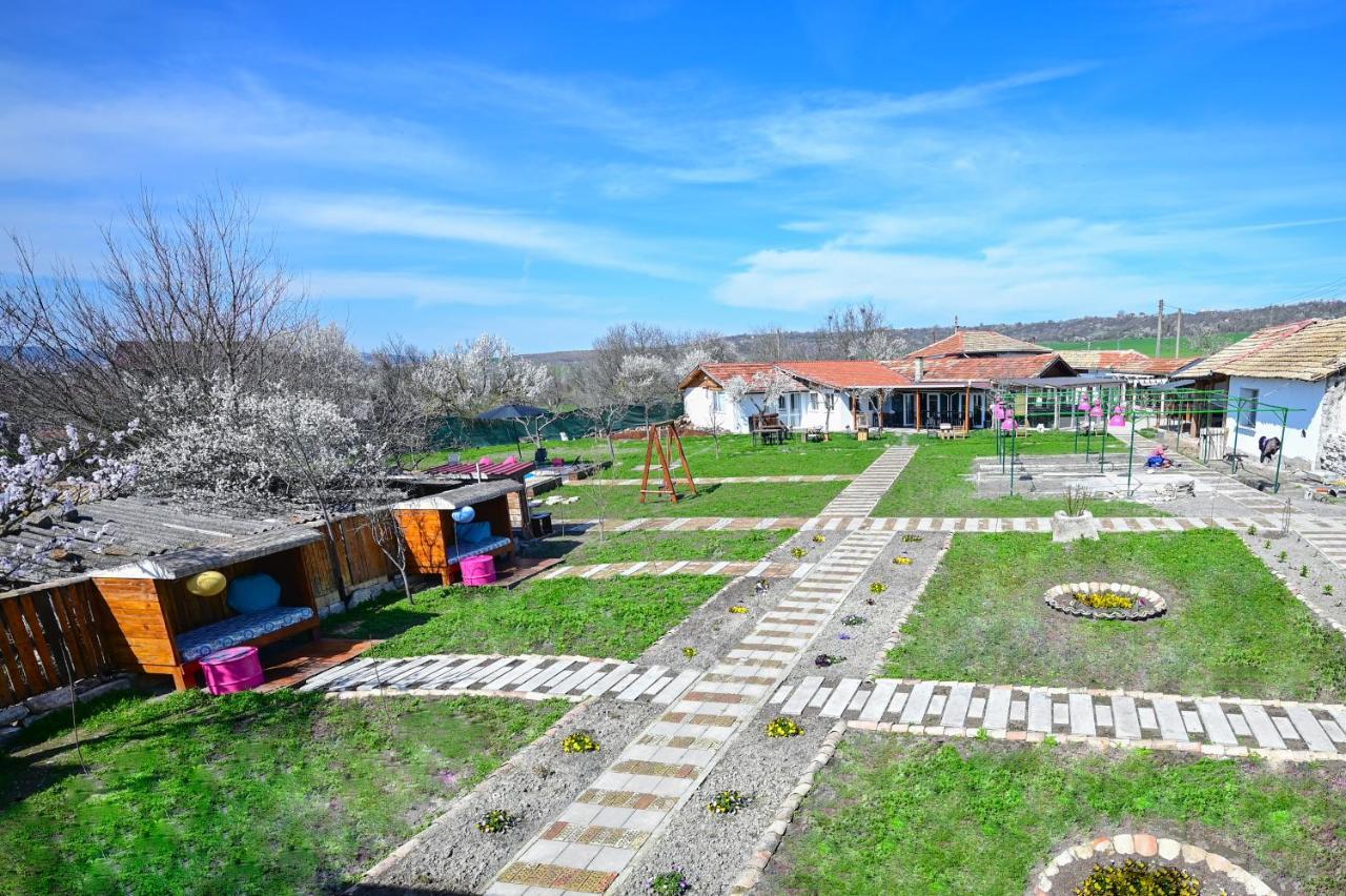 Guest House Bulgarka Dibich Exterior photo