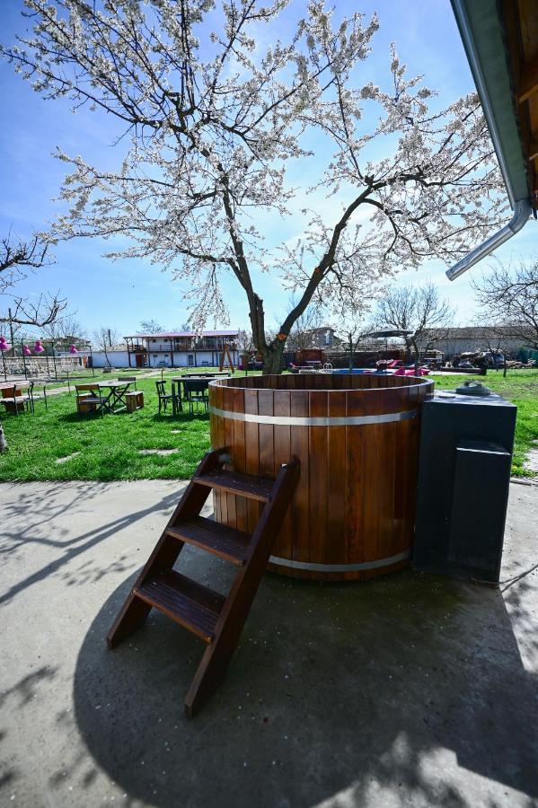 Guest House Bulgarka Dibich Exterior photo
